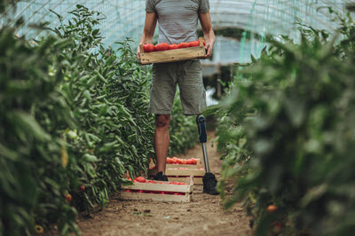  disabled farmer with leg prosthetic holding tomatoes 