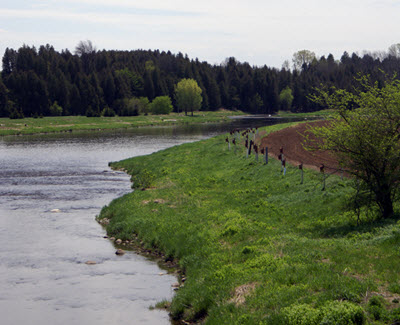 field by river