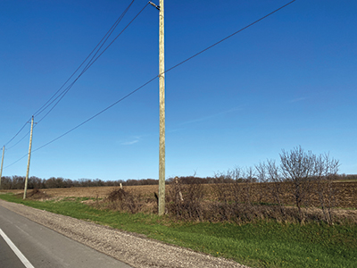 Hydro Poles on Side of Rural Road