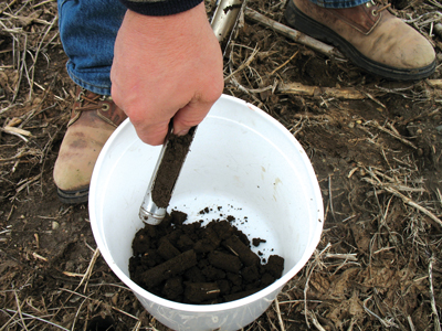 Farmer taking soil sample